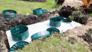 The Role of Bacteria in Your Septic System and How Pumping Affects It