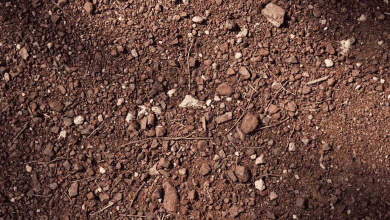 Soil Too Wet or Rocky How to Choose the Right Septic Design