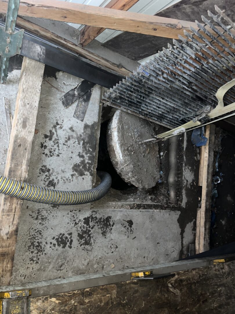 How Professional Septic Service Protects Your Home from Recurring Drain Clogs