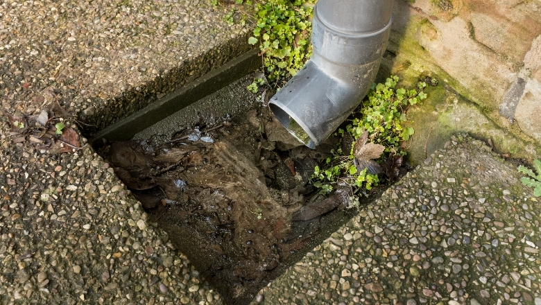 Blocked Drain Pipes: Common Causes, Fixes, And Why Porta Potty Rental Helps